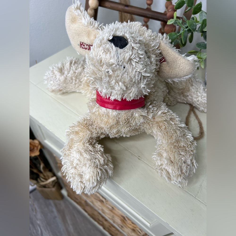Snuggie Toy Shaggy Dog Recorder